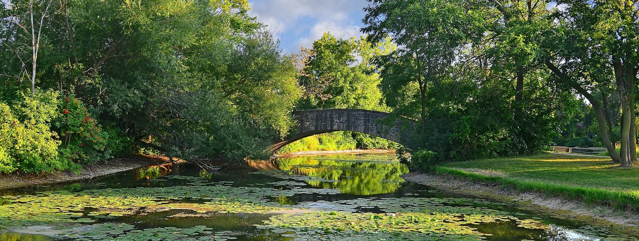 pictures-madison-tenny-park-bridge